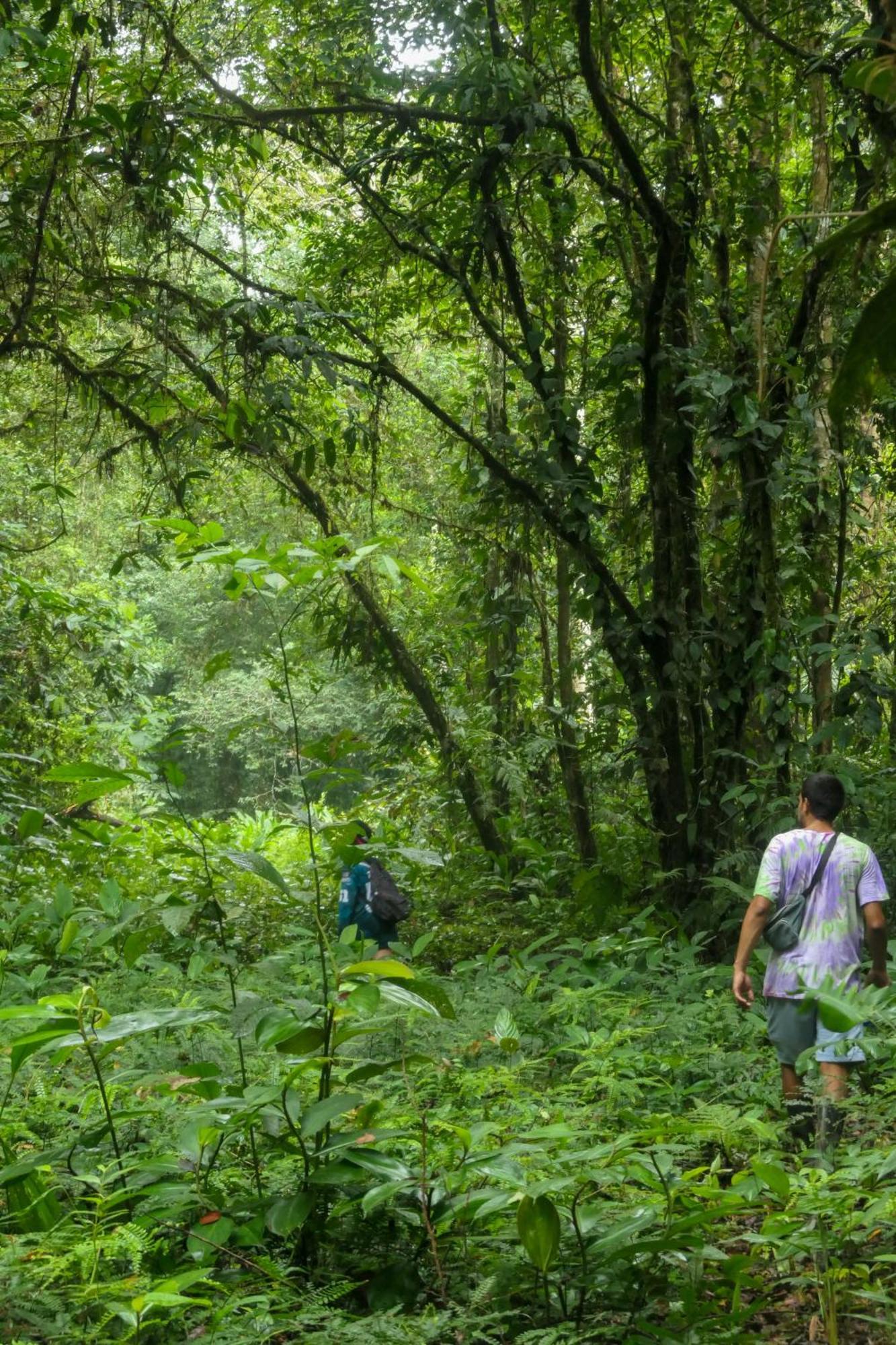 ホテル Hostal Bahia Solano Herping El Valle  エクステリア 写真