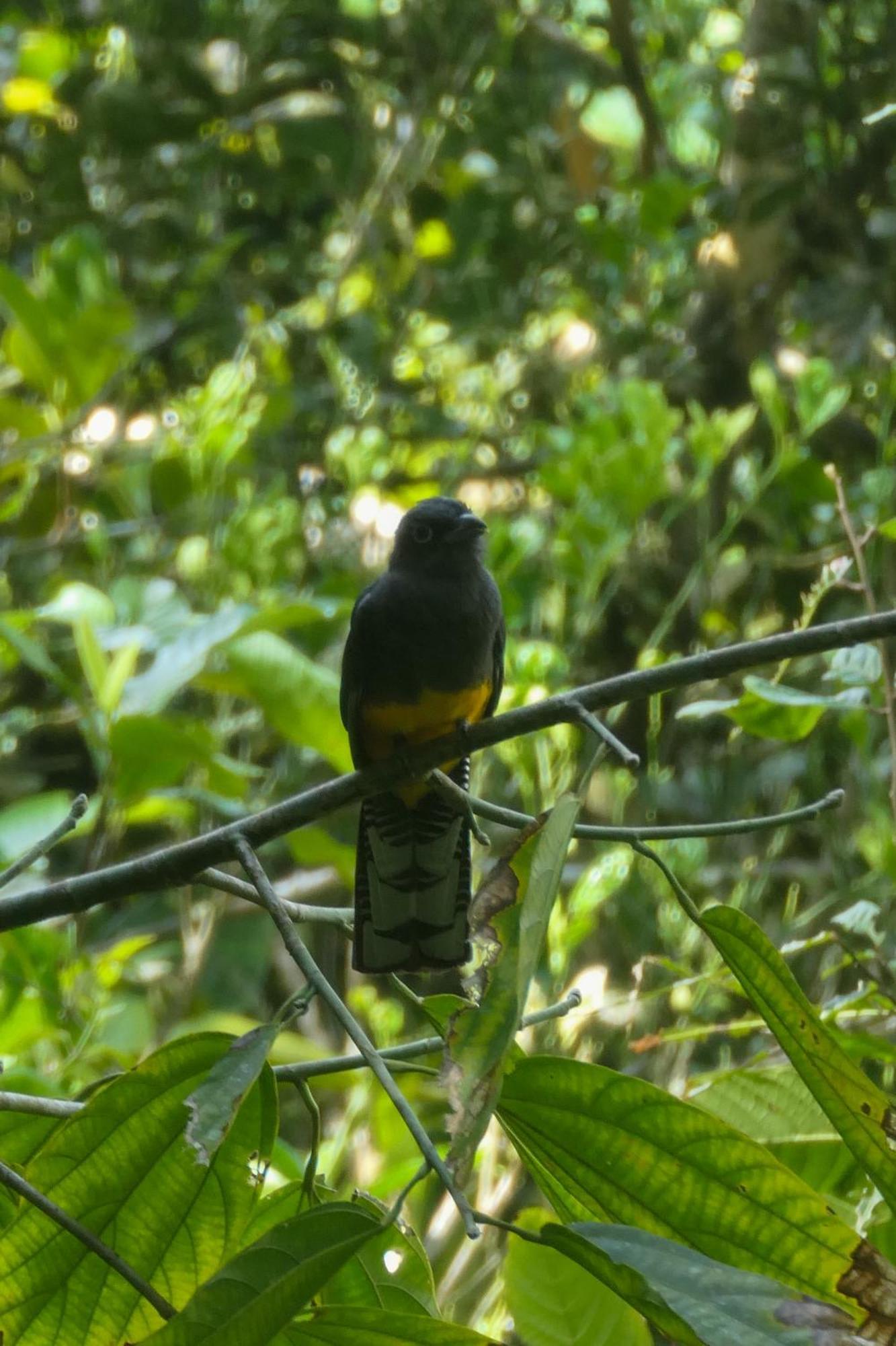 ホテル Hostal Bahia Solano Herping El Valle  エクステリア 写真